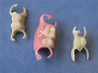 Photo: dentiers cosmétiques